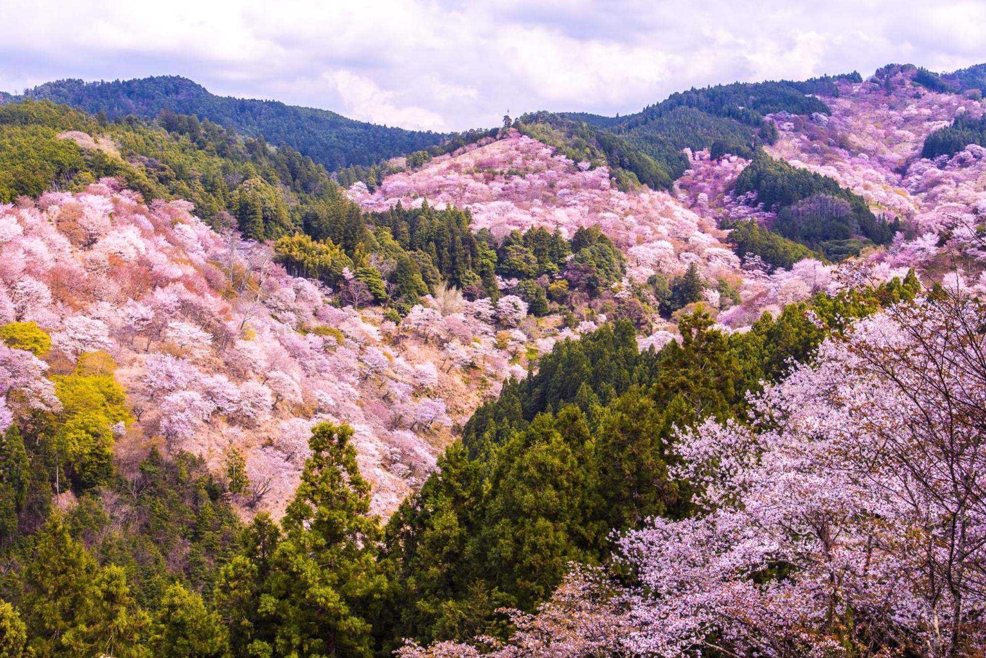 JW Marriott Hotel Nara Eksteriør bilde